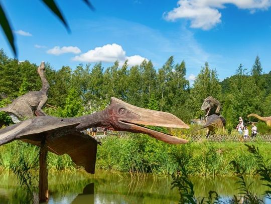 JuraPark - Bałtowski Kompleks Turystyczny