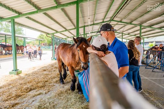 Weekend w obiektywie