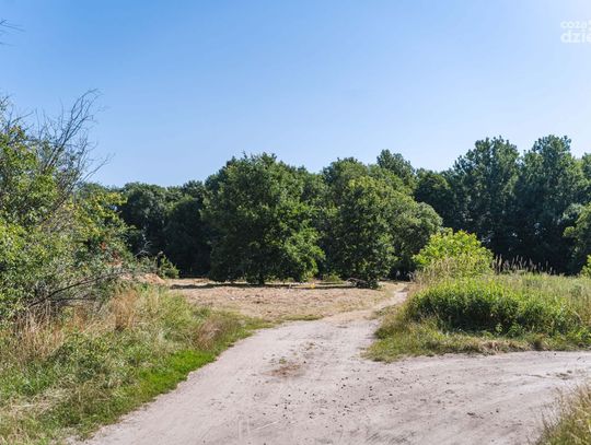 Powstaje PumpTruck na Borkach (zdjęcia)