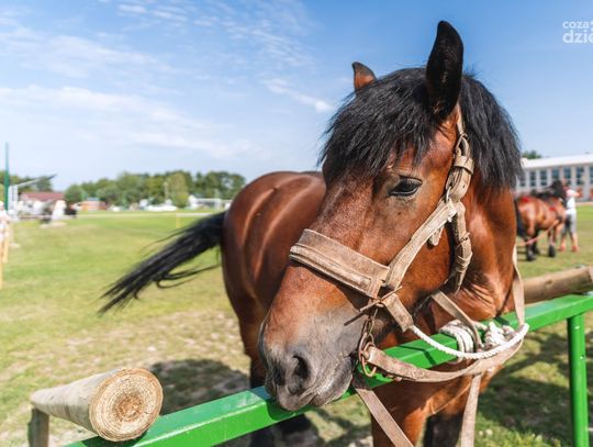 Weekend w obiektywie