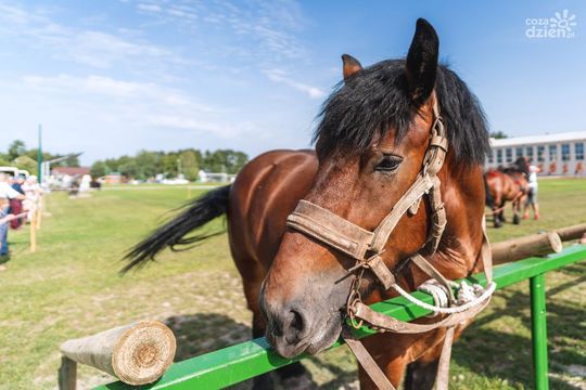 Weekend w obiektywie