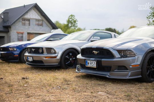 Weekend w obiektywie