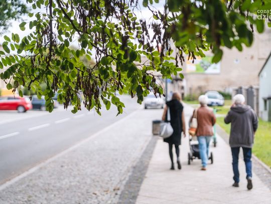 Przedwczesna jesień w Radomiu (zdjęcia)