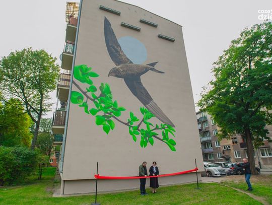 Weekend w obiektywie