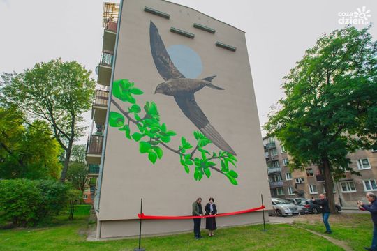 Weekend w obiektywie Weekend w obiektywie