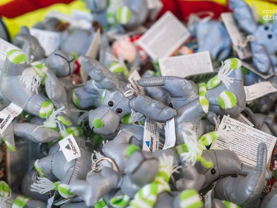 "Widoczny i bezpieczny przedszkolak" - Niepubliczne Przedszkole w Zakrzewie (zdjęcia)