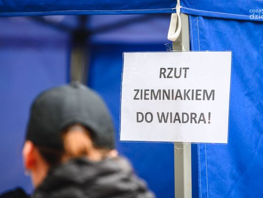 Festiwal Ziemniaka w Muzeum Wsi Radomskiej (zdjęcia)