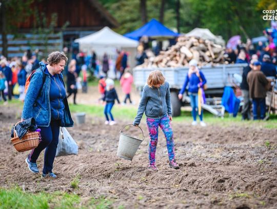 Weekend w obiektywie