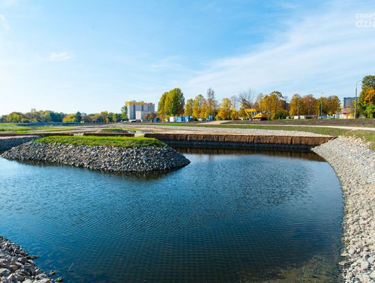 Realizacja projektu LIFE na osiedlu Nad Potokiem (zdjęcia)