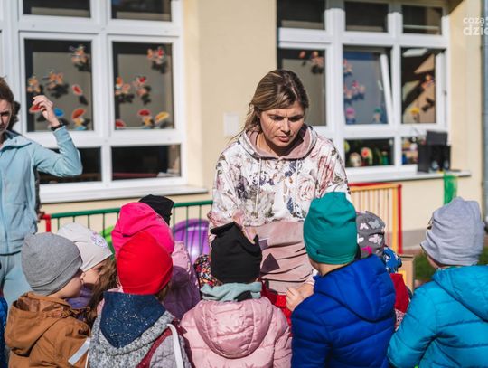 Zawody przedszkolaków w PP19 (zdjęcia)