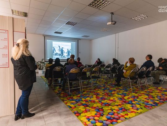 Antarktyka – pingwiny, słonie i jaskinie – spotkanie z podróżnikiem (zdjęcia)