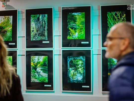 Mleczna z klimatem – wystawa fotograficzna (zdjęcia) Mleczna z klimatem – wystawa fotograficzna (zdjęcia)