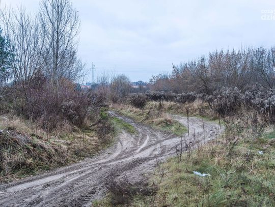 Ostatnie chwile toru na Koniówce (zdjęcia)