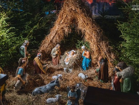 Szopki w wybranych Radomskich kościołach (zdjęcia)