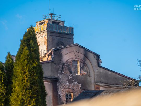 Hala przy ul. Młodzianowskiej po nocnym pożarze (zdjęcia)