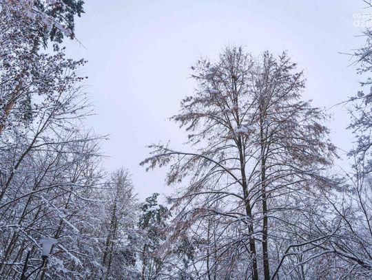 „Poszli w boje chłopcy nasze!”-Widowisko z okazji 160. rocznicy wybuchu Powstania Styczniowego (zdjęcia)