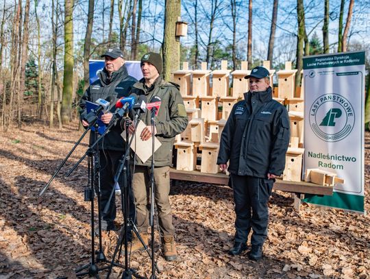 Podsumowanie akcji ,,Lasy dla więźniów, więźniowie i lasy dla przyrody” (zdjęcia)