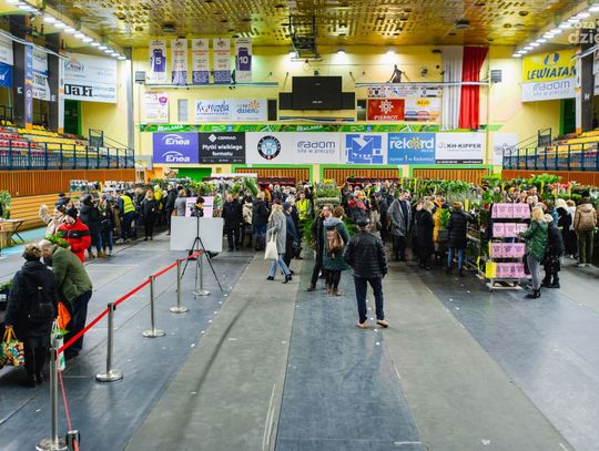 Festiwal roślin w hali Mosir (zdjęcia)