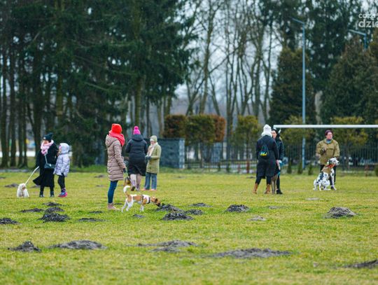 Spacer Socjalizacyjny DogSchool na Borkach (zdjęcia)
