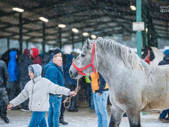 Wstępy w Skaryszewie (zdjęcia)