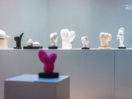 Wernisaż - Haptyczny rezonans materii. Maria Papa Rostkowska i gościnie (zdjęcia)