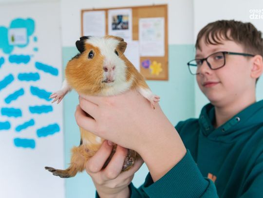 Weekend w obiektywie