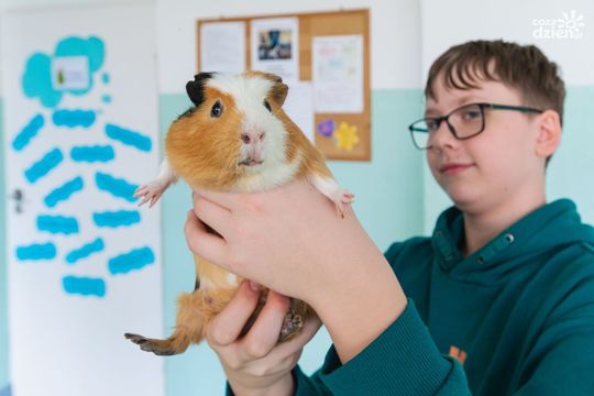 Weekend w obiektywie