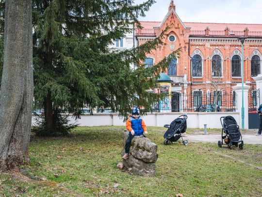 Międzynarodowy Dzień Książki (zdjęcia)