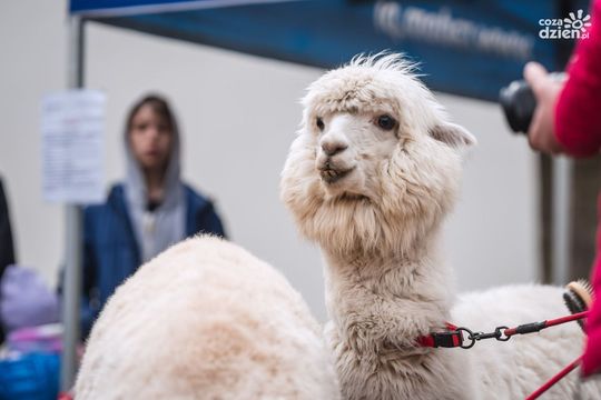 Weekend w obiektywie