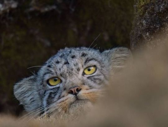 Weekend w radomskich kinach. Co warto obejrzeć?  