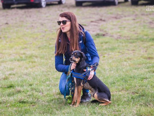 Idź na spacer z bezdomniakiem (zdjęcia)