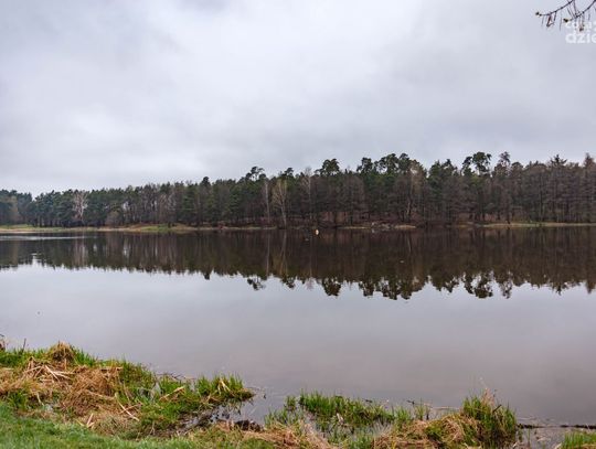 Zawody wędkarskie o puchar burmistrza Jedlni-Letniska (zdjęcia)