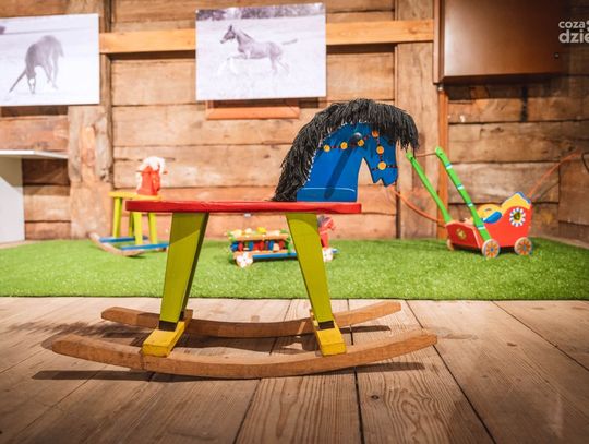 Weekend w obiektywie 