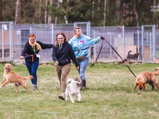 Weekend w obiektywie 