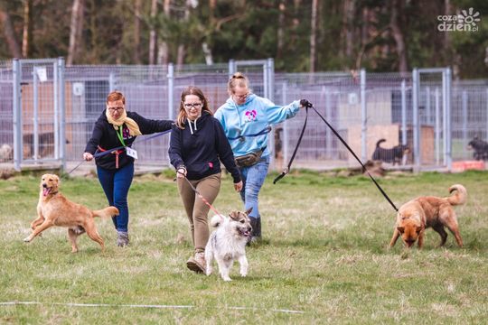 Weekend w obiektywie 