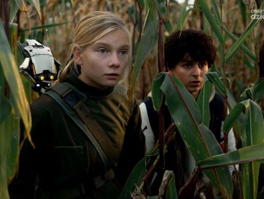 Weekend w radomskich kinach. Co warto obejrzeć?