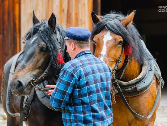 „Koń użytkowy w tradycji polskiej” w Muzeum Wsi Radomskiej (zdjęcia) „Koń użytkowy w tradycji polskiej” w Muzeum Wsi Radomskiej (zdjęcia)