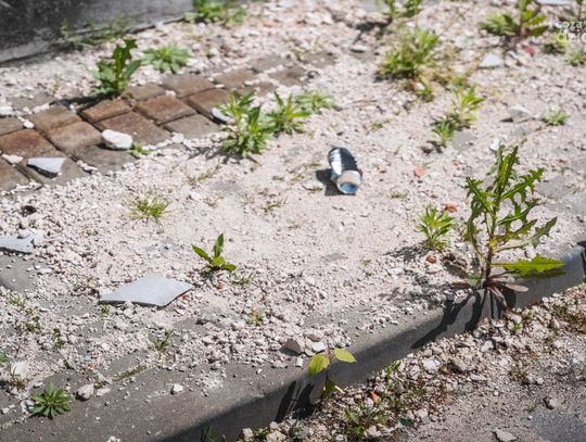 Zamknięta ulica Czumy (zdjęcia)