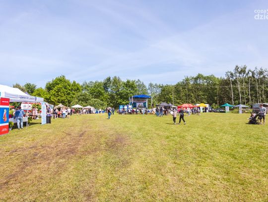 Eko-Jarmark w Wolanowie (zdjęcia)