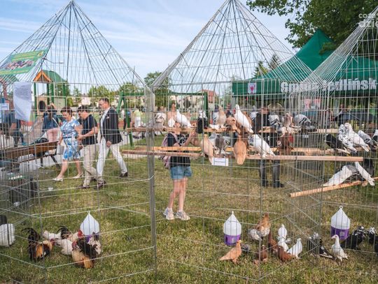 Piknik ekologiczny we Wsoli (Zdjęcia)