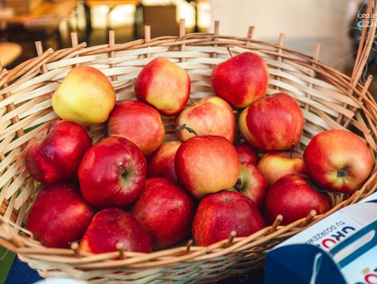 Święto Kwitnących Jabłoni (zdjęcia)
