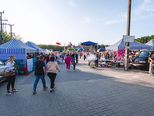 Wiosna Mogielnicka (zdjęcia)