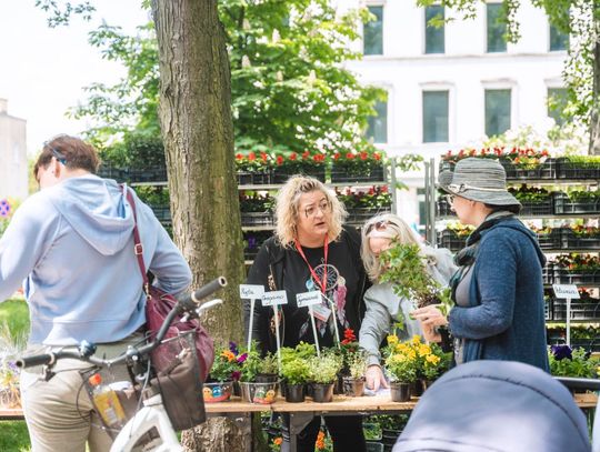 Weekend w obiektywie