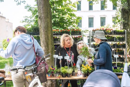 Weekend w obiektywie