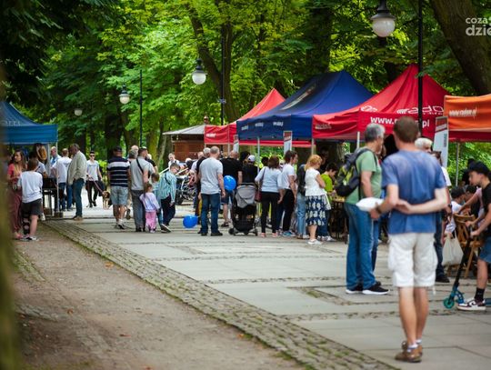 Free(Ra)dom Festival 2023 (zdjęcia)