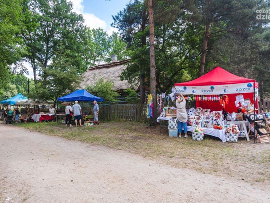 Sobótki w Muzeum Wsi Radomskiej (zdjęcia)