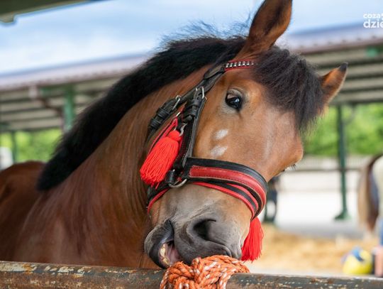 Weekend w obiektywie