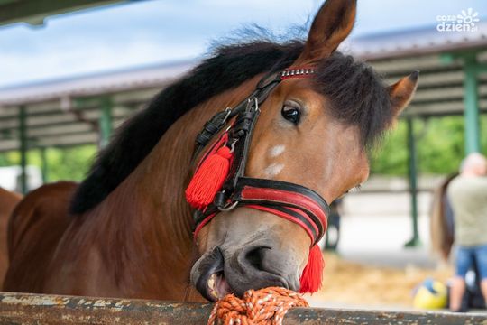 Weekend w obiektywie Weekend w obiektywie