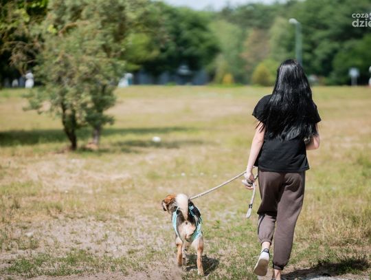 Schronisko dla bezdomnych zwierząt w Radomiu (zdjęcia)
