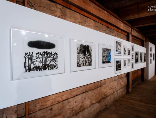 Edward Hartwig - Mazowieckie Krajobrazy (zdjęcia) Edward Hartwig - Mazowieckie Krajobrazy (zdjęcia)